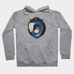 Overwatch Cats Ana Hoodie